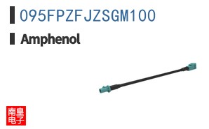 095FPZFJZSGM100