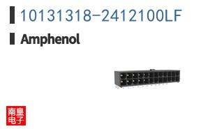 10131318-2412100LF