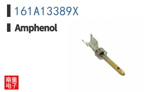 161A13389X