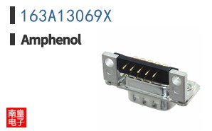 163A13069X