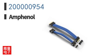 200000954