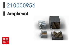 210000956