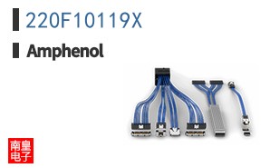 220F10119X