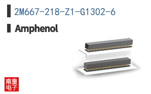 2M667-218-Z1-G1302-6