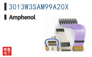 3013W3SAM99A20X