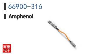 66900-316