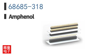 68685-318