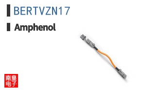 BERTVZN17