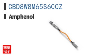 CBD8W8M65S600Z