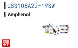 CS3106A22-19SW