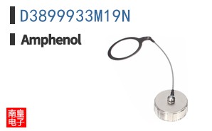 D3899933M19N