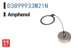 D3899933M21N