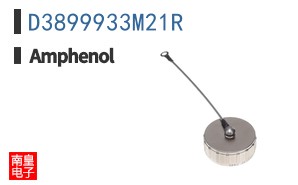 D3899933M21R