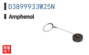 D3899933W25N