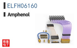 ELFH06160