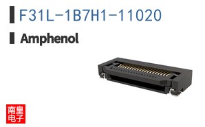 F31L-1B7H1-11020