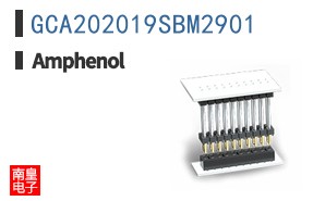 GCA202019SBM2901