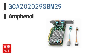 GCA202029SBM29