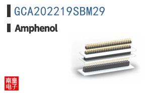 GCA202219SBM29