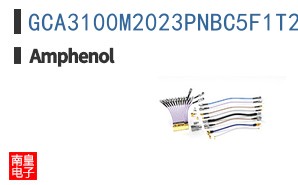 GCA3100M2023PNBC5F1T2