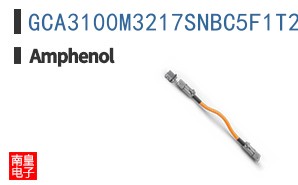 GCA3100M3217SNBC5F1T2