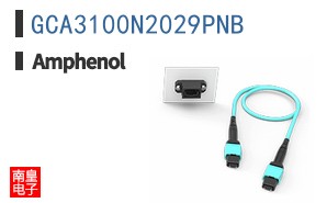 GCA3100N2029PNB