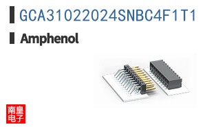 GCA31022024SNBC4F1T1