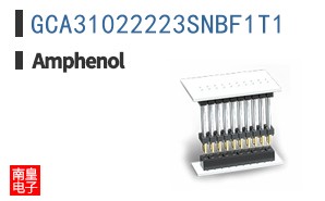 GCA31022223SNBF1T1