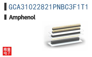GCA31022821PNBC3F1T1
