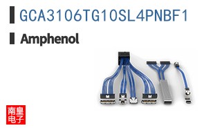 GCA3106TG10SL4PNBF1