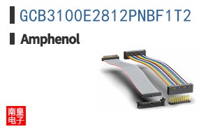 GCB3100E2812PNBF1T2
