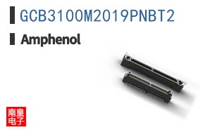 GCB3100M2019PNBT2