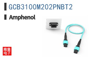GCB3100M202PNBT2
