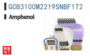 GCB3100M2219SNBF1T2