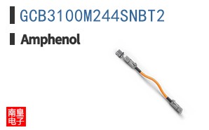 GCB3100M244SNBT2