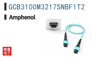 GCB3100M3217SNBF1T2