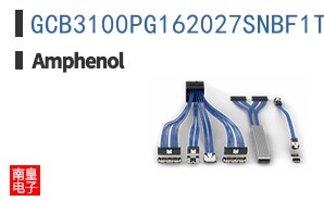GCB3100PG162027SNBF1T2