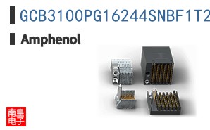 GCB3100PG16244SNBF1T2