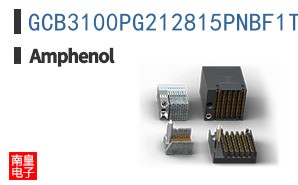 GCB3100PG212815PNBF1T2