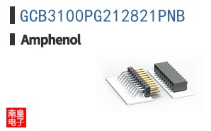 GCB3100PG212821PNB