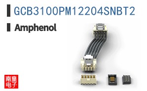 GCB3100PM12204SNBT2