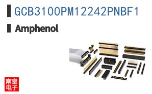 GCB3100PM12242PNBF1