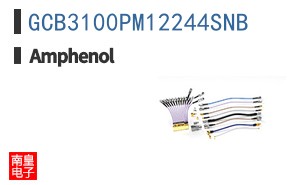 GCB3100PM12244SNB