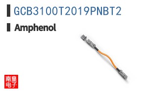 GCB3100T2019PNBT2