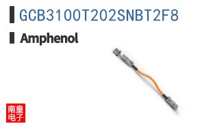 GCB3100T202SNBT2F8