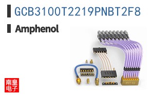 GCB3100T2219PNBT2F8
