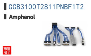 GCB3100T2811PNBF1T2