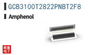 GCB3100T2822PNBT2F8