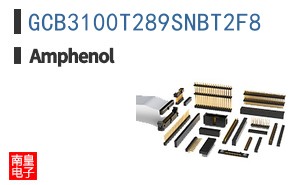 GCB3100T289SNBT2F8