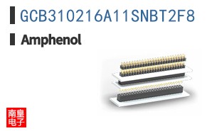 GCB310216A11SNBT2F8